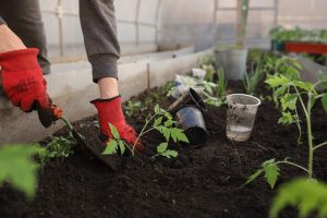 Spring 2022 Gardening Jobs
